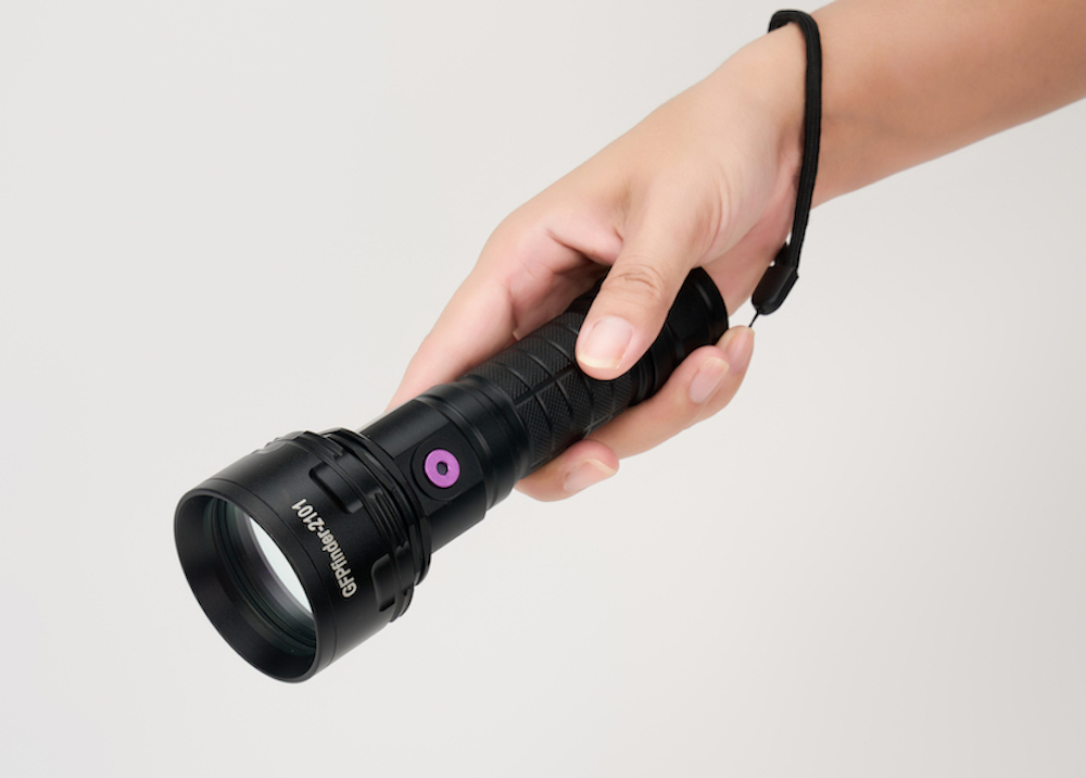紫外线手电筒用于激发烟草过敏性细胞死亡的自发荧光