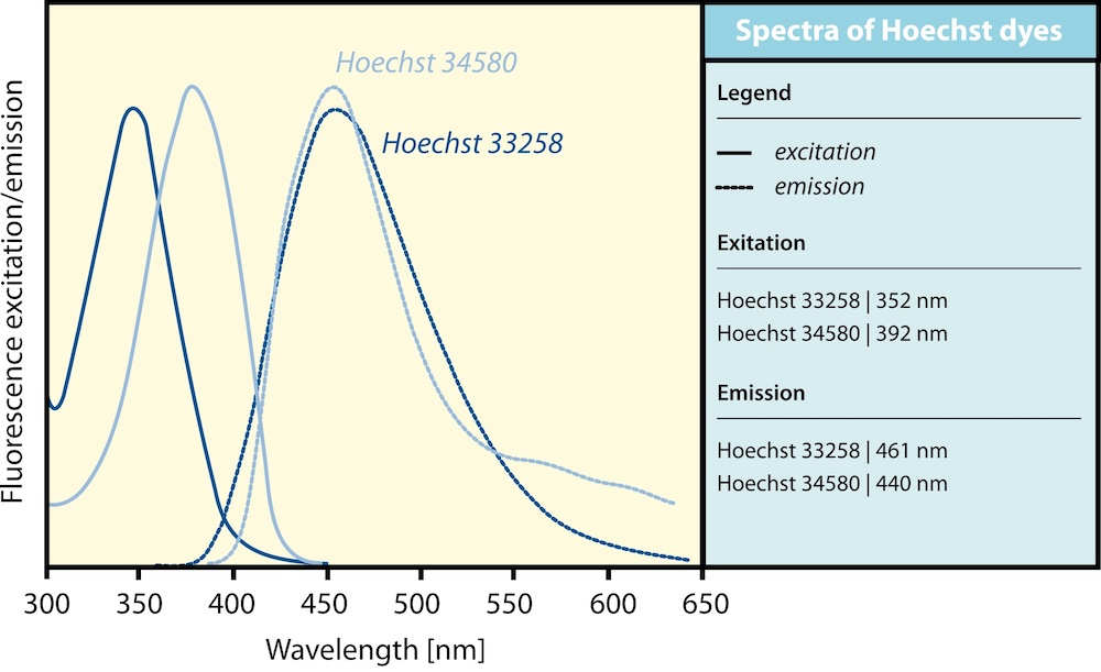 Hoechst的激发光和发射光光谱